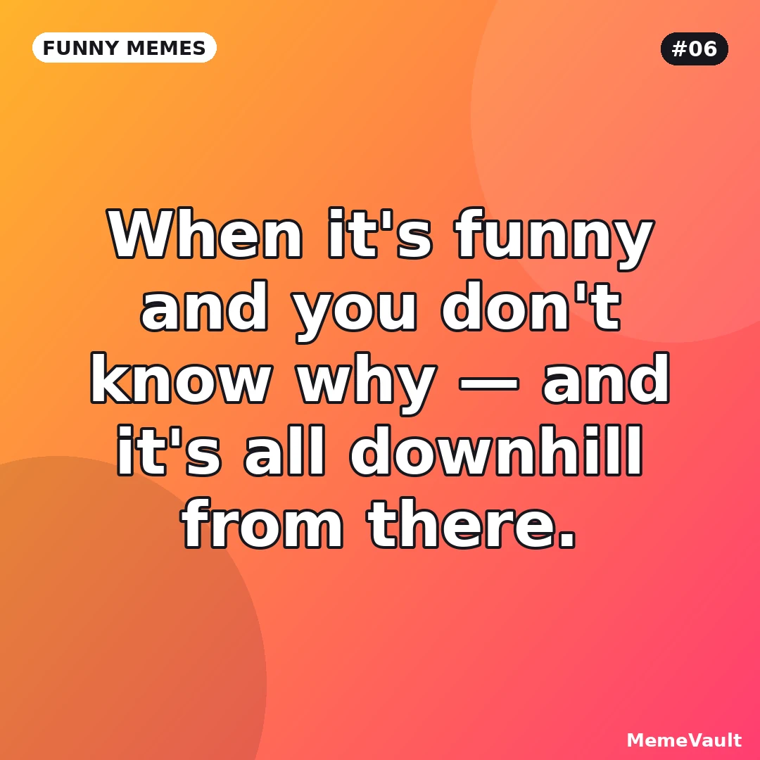 Funny Memes meme 6: When it's funny and you don't know why Funny Memes meme 6: When it's funny and you don't know why