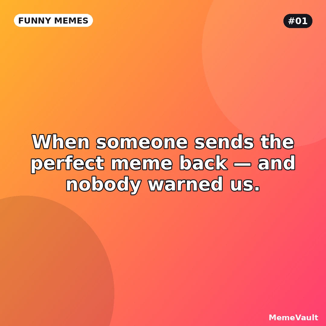 Funny Memes meme 1: When someone sends the perfect meme back Funny Memes meme 1: When someone sends the perfect meme back