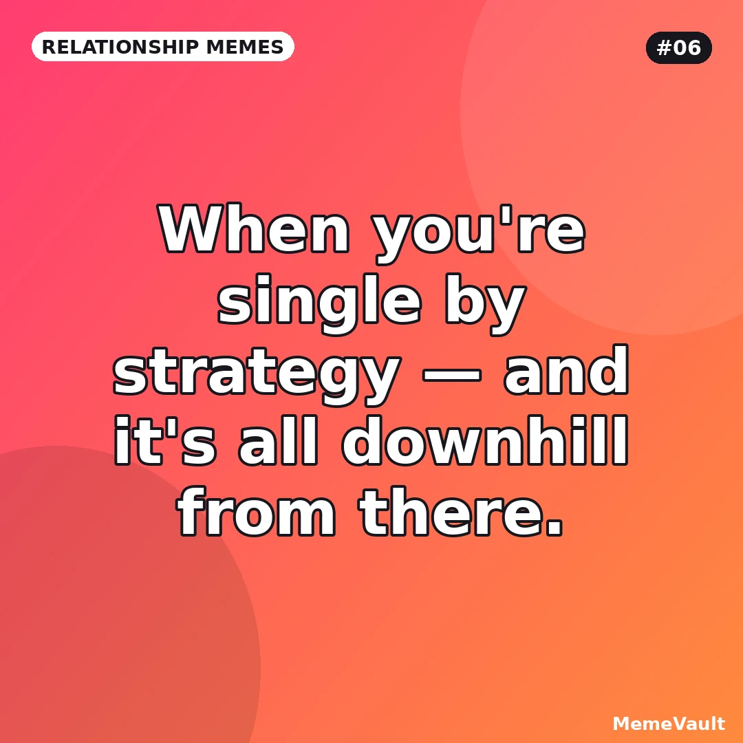 Relationship Memes meme 6: When you're single by strategy Relationship Memes meme 6: When you're single by strategy